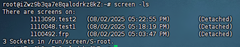 screen-ls1